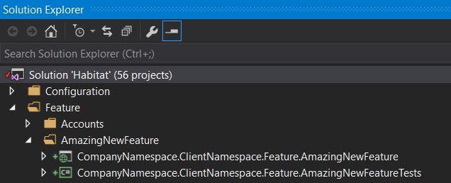 Solution Explorer showing the added feature